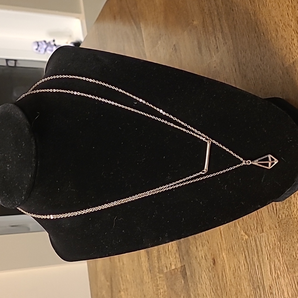 Silver tone 2 strand necklace